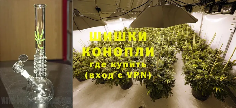 Бошки марихуана SATIVA & INDICA  Копейск 